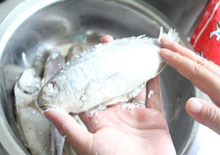 椒盐黄花鱼,腌制好的小黄花鱼鱼身均匀的拍上淀粉