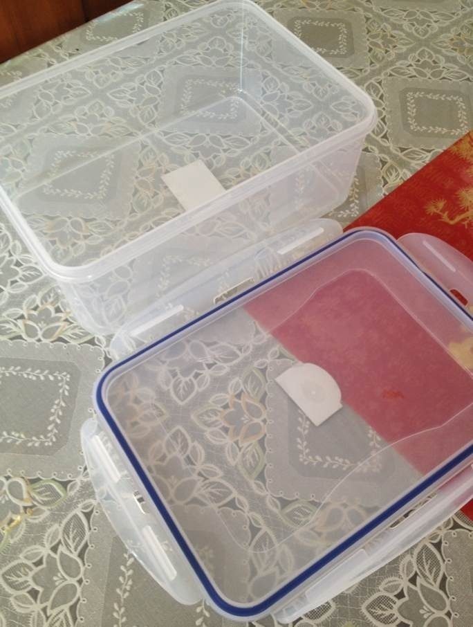 韩式泡菜,准备好一个足够容纳的餐盒，洗净晾干，不可以进水哦！