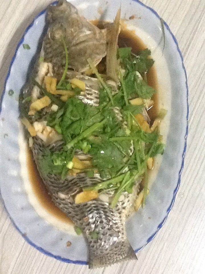 清蒸羅非魚 - 清蒸羅非魚做法,功效,食材 - 網上廚房