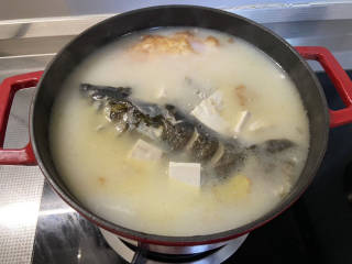 鱼头炖汤➕鱼头豆腐汤,炖到汤汁奶白，加入嫩豆腐，