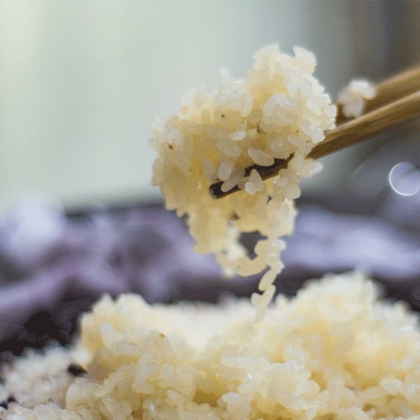 蒸糯米、黑米饭（可作寿司饭）,蒸好后的糯米饭晶莹剔透，有嚼劲。