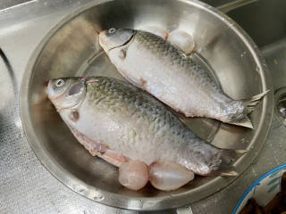 鯽魚豆腐菇菌湯,鯽魚去鱗去腮去內臟,洗淨,尤其是肚子裡如果有黑膜