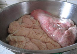 卤煮火烧,将猪小肠和猪肺清洗干净