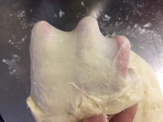 肉松面包卷,揉面至出现手套膜。