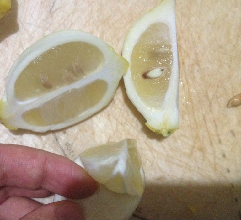 柠檬金橘酱,如图把柠檬象切橙子一样切四瓣，把果肉剥出来，柠檬籽剔干净，把柠檬果肉切碎备用。