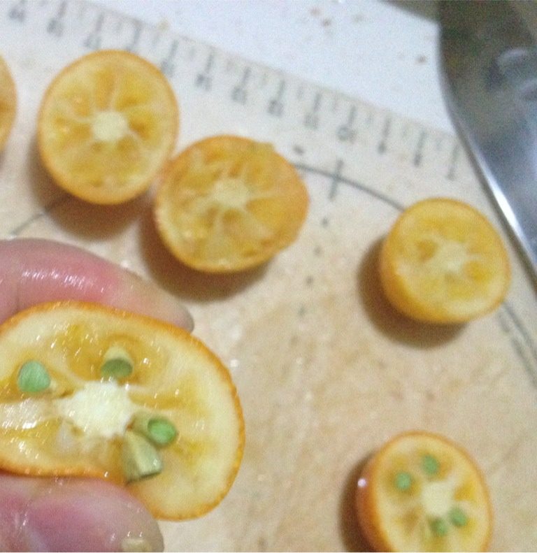 柠檬金橘酱,如图把金橘从中间切开，用手挤捏一下就可以把籽挤出来。