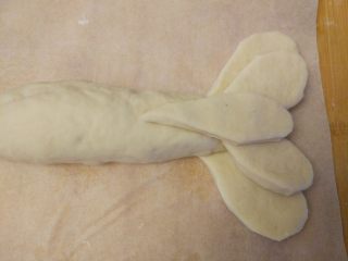 龙虾面包,制作尾部：另取一块，擀成薄片，按照图片切出尾部，将部位按顺序叠放好，中间用少许蛋液粘合
