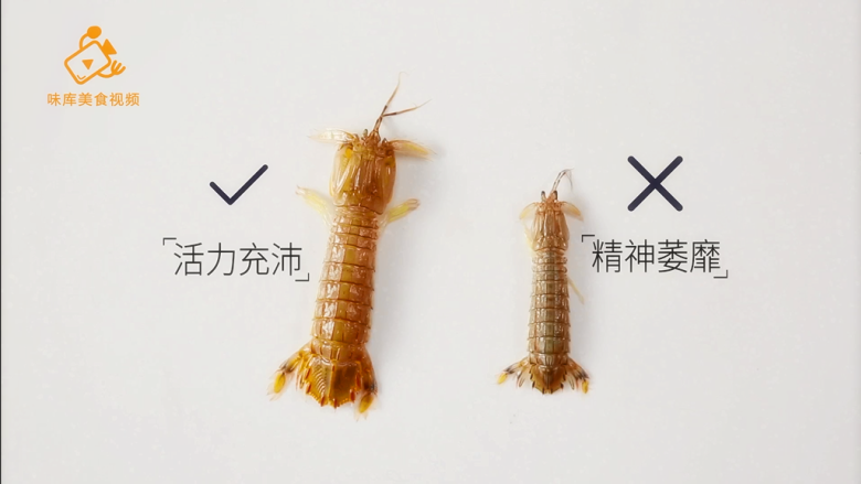 3个实用小技巧，帮你挑出最好吃的皮皮虾,精神萎靡不新鲜