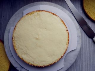 卡通树桩屋翻糖蛋糕,将烤好的海绵蛋糕晾凉，水平分层，每层之间用奶油霜抹平粘合
