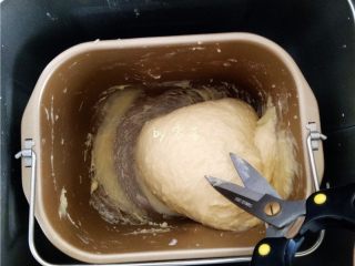蜂蜜紫薯面包,启动“和面”程序；面粉成团时，用厨房剪刀剪面团；具体操作可模仿园艺工人，一手握着剪子的一边，垂直向下在面团上剪口子；