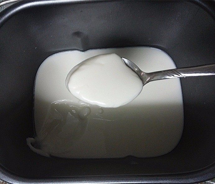 大果粒芒果酸奶,浓稠老酸奶就OK了，取出面包桶晾凉