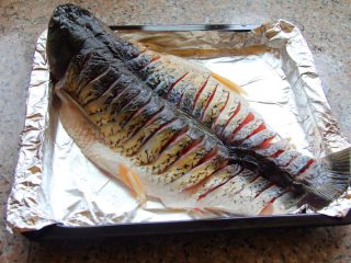香辣烤鱼,腌制好的鱼放到烤盘上，淋上酱油，用刷子刷均匀。