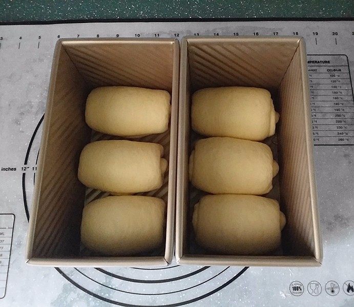 日式甜面包-中种法,全部卷好后放入吐司盒