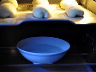 软欧包,把烤盘放入烤箱中层，底层放一碗热水，开启烤箱发酵功能进行二发