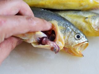 家常烧黄花鱼,黄花鱼去除内脏和鱼鳃
