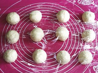 蔓越莓椰蓉小面包,分成12等份，盖保鲜膜，松弛20分钟