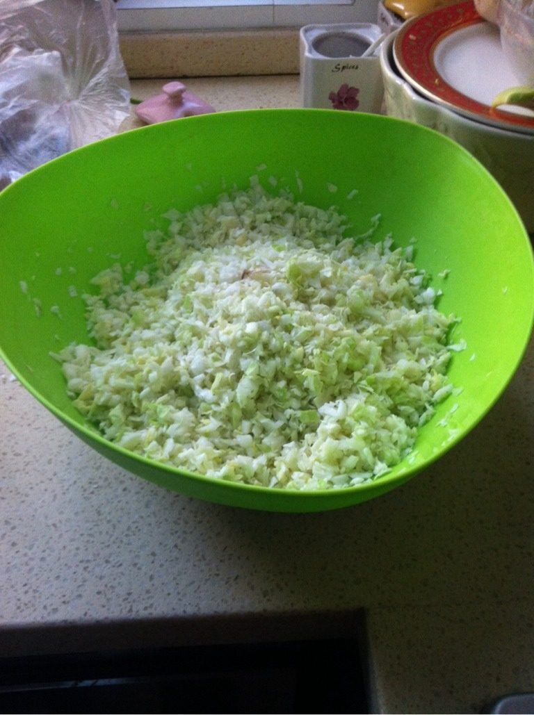 猪肉白菜包子,如图  把白菜或者卷心菜剁碎，放盐让它自己出水。
