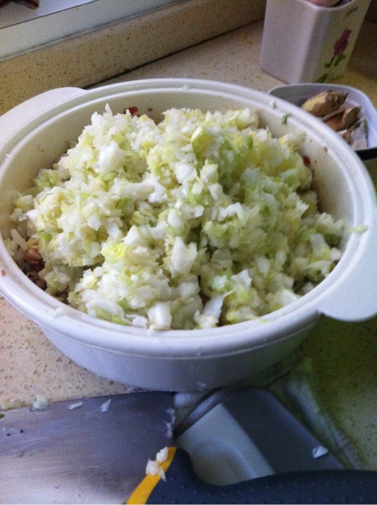 猪肉白菜包子,如图  白菜挤干水放入馅料盆