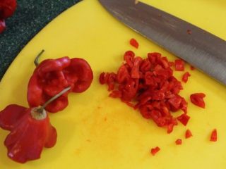 酪梨芒果莎莎酱,标准的莎莎酱要用一些墨西哥辣椒，家中没有此椒，不过有一些灯笼辣椒，也是甜中带辣，就来凑合使用。