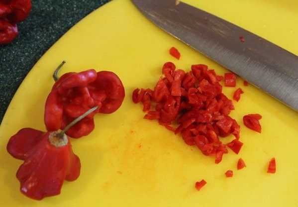 酪梨芒果莎莎酱,标准的莎莎酱要用一些墨西哥辣椒，家中没有此椒，不过有一些<a style='color:red;display:inline-block;' href='/shicai/ 82676'>灯笼辣椒</a>，也是甜中带辣，就来凑合使用。