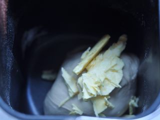 毛毛虫面包,加入软化的黄油小块，再次启动和面程序15分钟至面团把黄油全部吸收，将面揉到面团出筋成扩展阶段