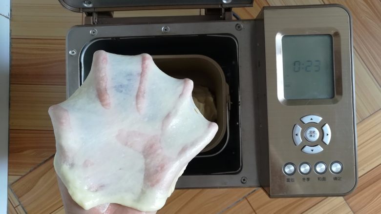 酸奶吐司（波兰种）,和面完成，拉一个手套膜