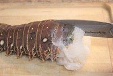 巴西龙虾,将肚子朝下，用剪刀将龙虾壳如图剪开