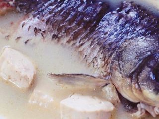 奶白鲫鱼豆腐汤,不仅喝汤，而且鱼剁成泥，喂宝宝吃，从少到多，从肉糜到肉末，培养他们消化固体食物的能力。随着磨牙萌出，咀嚼能力提升，逐渐过渡到吃煮软的肉块。