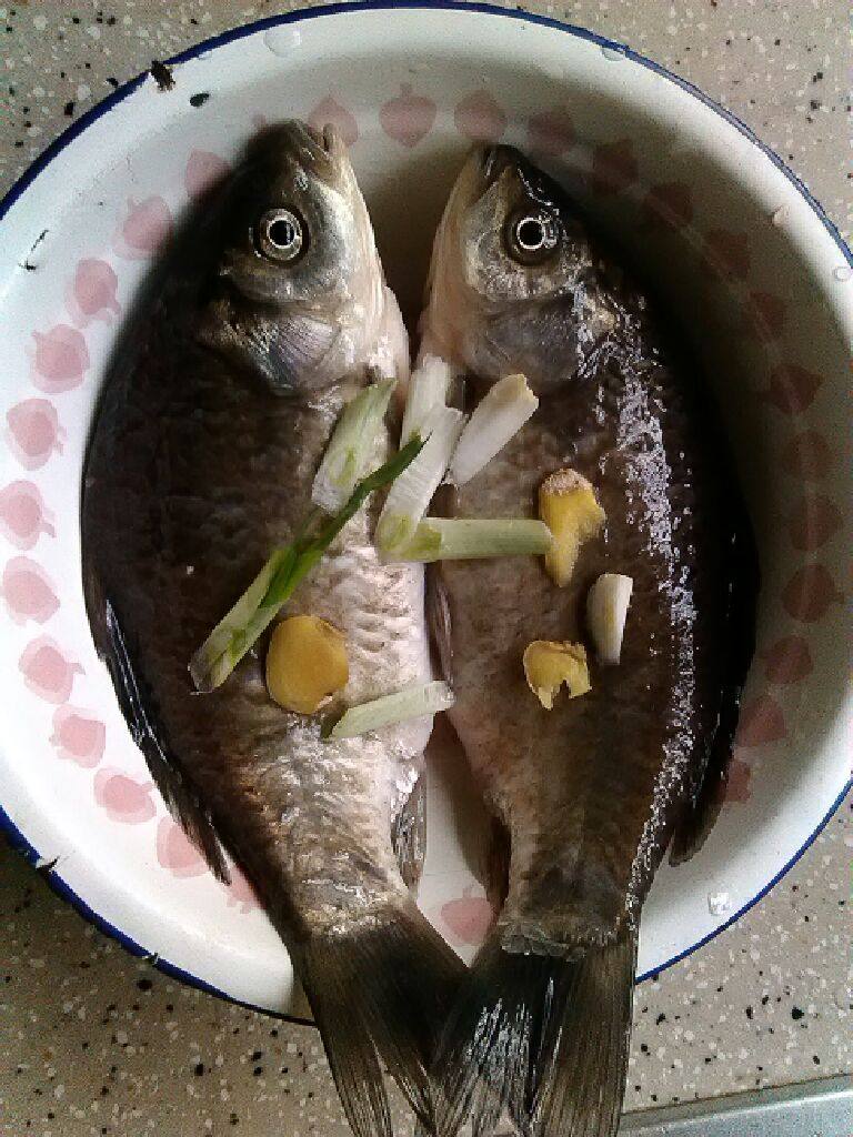 茜茜鲫鱼汤,鱼洗干净，将鱼肚两旁的黑色膜去掉，放点姜葱蒜腌上15分钟