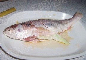 清蒸黄花鱼,在鱼身上打上花刀。用精盐、白酒抹在鱼身上腌制入味。把葱姜片放入鱼身和膛里腌制10分钟