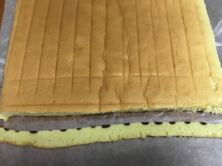 斑马纹蛋糕卷,大约晾几分钟，不烫手时候就行，底下换张新新油纸，把蛋糕片放好，顶端切掉一小条，趁温热有弹性，空卷起来定型