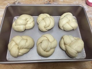 全麦老式面包 中种法,面团整形好之后放入模具，再放入烤箱中（不插电）放入一盆热水闷着，进行二次发酵