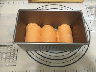 黄金芝士奶酪吐司 ,面团塑形后放入吐司盒中