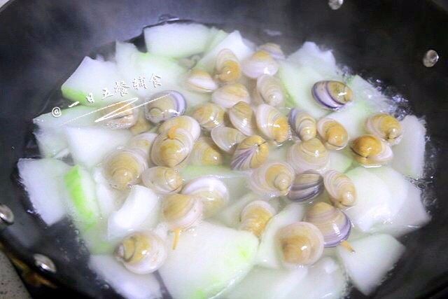  冬瓜蛤蜊汤,等水沸后把蛤蜊放入。