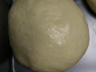香葱手撕肉松面包, 醒发好的面团取出，简单排气后滚圆，盖保鲜膜松弛30分钟左右。