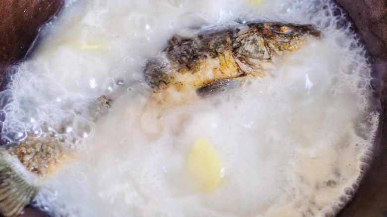 鲫鱼萝卜奶白汤,开大火煮开后转小火炖煮，几分钟后鱼汤就能炖成奶白色。