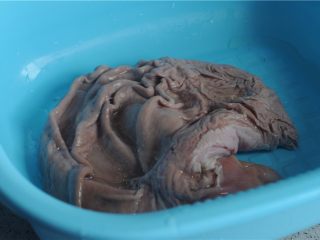 墨鱼猪肚汤,江洗净表面的猪肚子控干水，放在大盆里