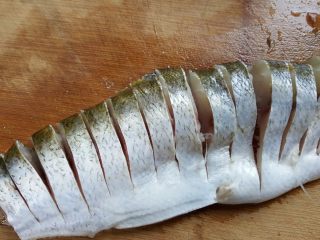 清蒸鱼,3．鱼中段用刀切段，肚皮部位不要切断。（大约1.2cm左右宽）