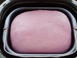 紫薯软欧包,面团发酵好了，开始整形。