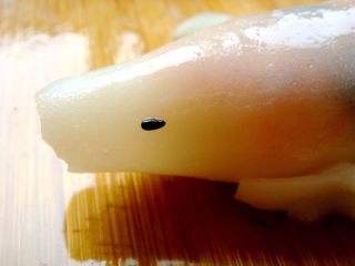 锦鲤寿司,用黑芝麻做眼睛。