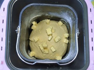 鱼肠“排骨”面包,2、面和好后，加入黄油，继续和面15分钟，完成后，开始发酵
