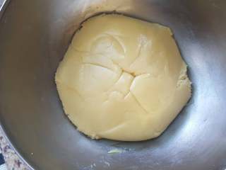 椰蓉枸杞月饼,13.混合均匀后，放在容器中室温松弛，3小时左右。