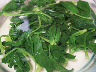 翡翠虾仁,将焯好水的菠菜快速放入冰水中浸泡
叨叨叨：过水的菠菜放入冰水中可以让其颜色更加翠绿