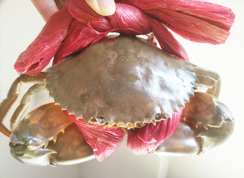 清蒸海蟹,将螃蟹放入清水中，浸泡2个小时，让螃蟹把身体内的脏东西吐出来