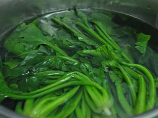 绿色美食麻酱果仁菠菜,将菠菜洗净，入沸水焯30秒