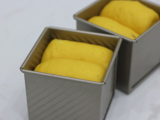 丰收的季节——金色南瓜吐司,二发至大概8分满，盖盖。烤箱中层160℃烘烤30分钟。