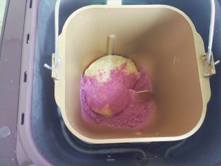 紫薯黑加仑吐司,另一个面团加入紫薯粉揉均匀