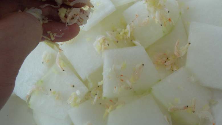 海米蒸冬瓜, 均匀的洒在冬瓜上。