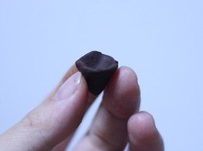 浓情巧克力礼盒,取一块巧克力捏成上大下小的模样，作为花托，花托的上部有一个凹坑