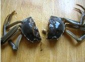 螃蟹面糊酱,螃蟹用毛刷刷干净，在砧板上剁成两半。